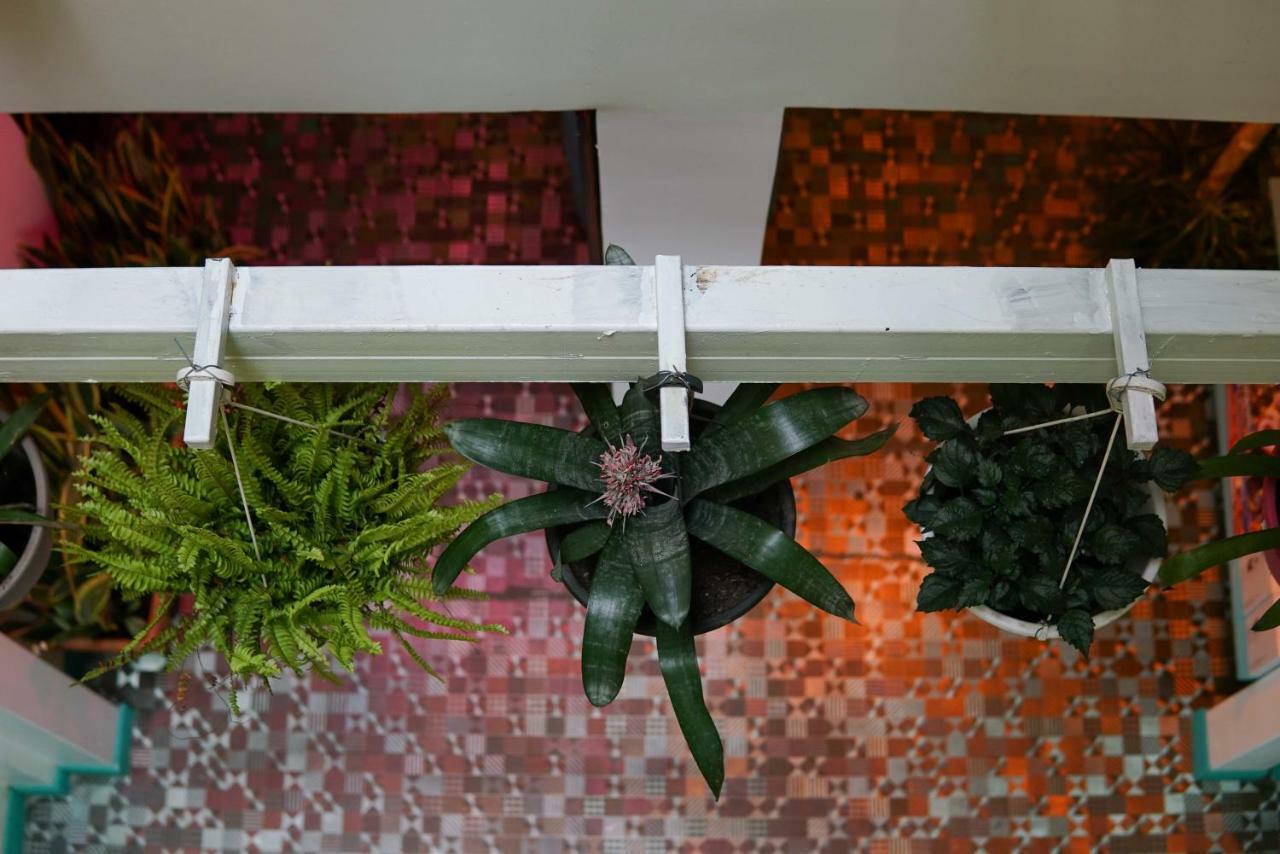 Nativus Art-Hostel San Jose  Eksteriør bilde