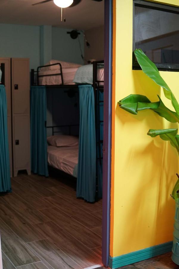 Nativus Art-Hostel San Jose  Eksteriør bilde