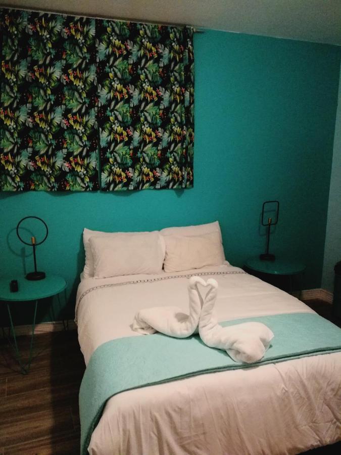 Nativus Art-Hostel San Jose  Eksteriør bilde